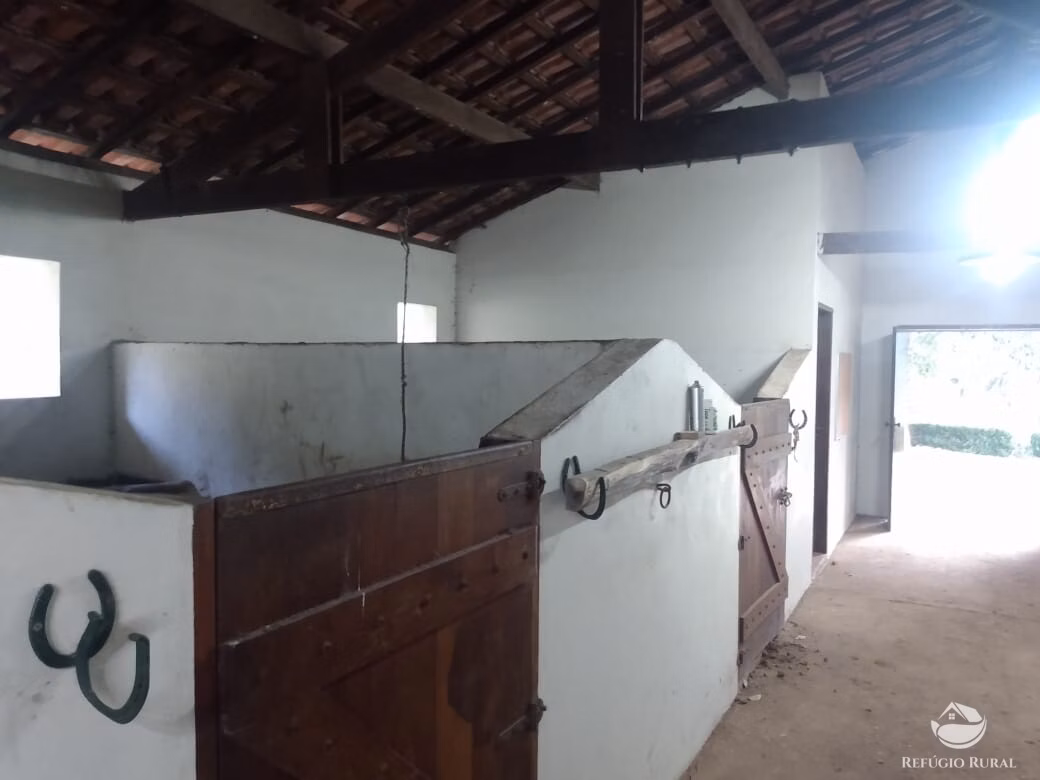 Sítio de 5 ha em Sapucaí-Mirim, MG