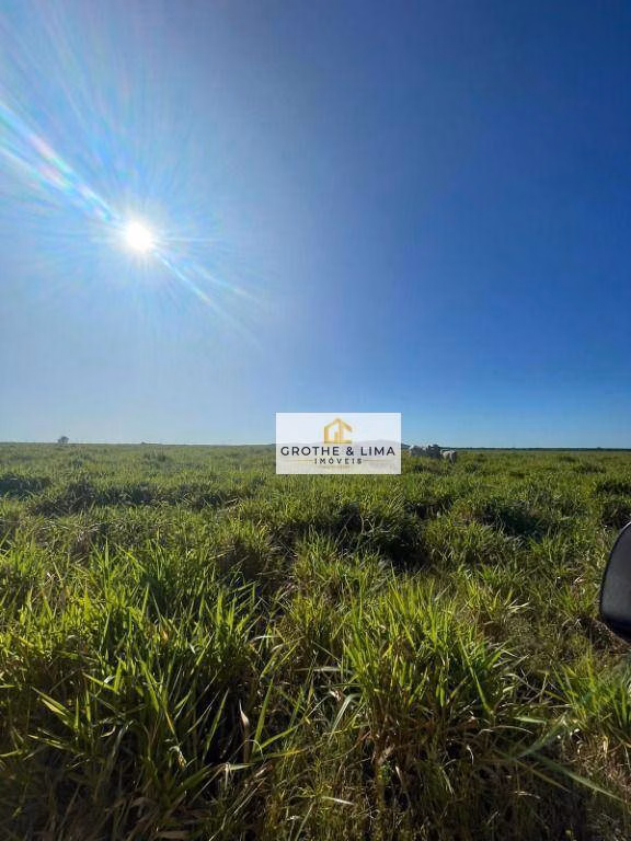 Fazenda de 2.420 ha em Peixe, TO