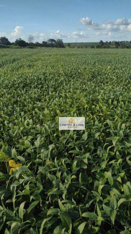 Fazenda de 2.420 ha em Peixe, TO