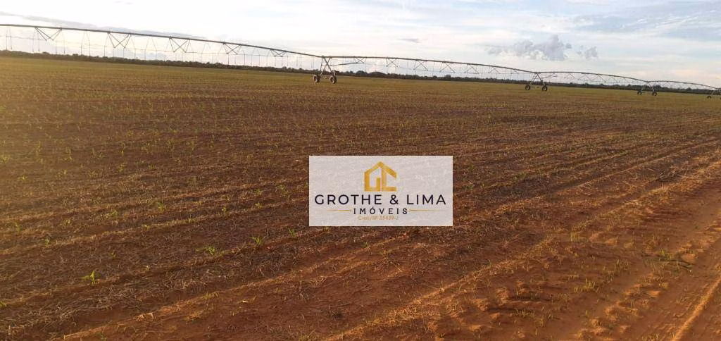 Fazenda de 2.420 ha em Peixe, TO