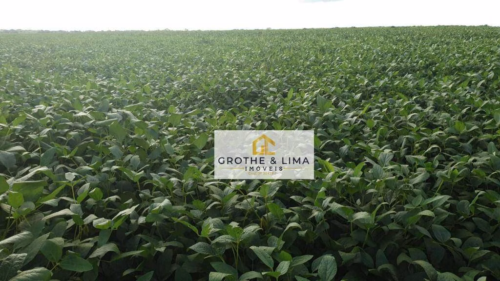 Fazenda de 2.420 ha em Peixe, TO