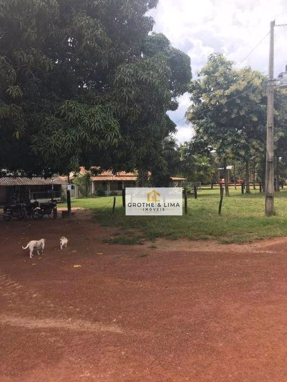 Fazenda de 2.420 ha em Peixe, TO
