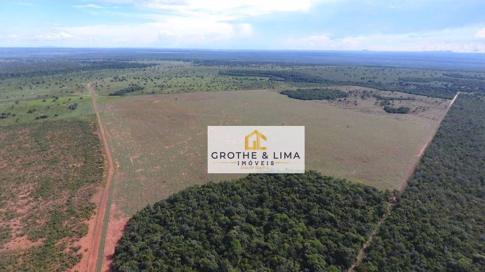 Fazenda de 2.420 ha em Peixe, TO