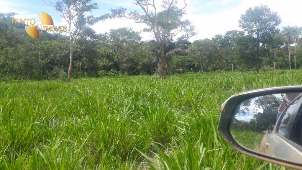 Fazenda de 1.240 ha em Barra do Bugres, MT
