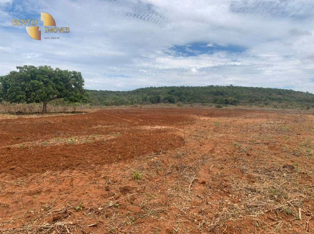 Fazenda de 1.300 ha em Poxoréu, MT