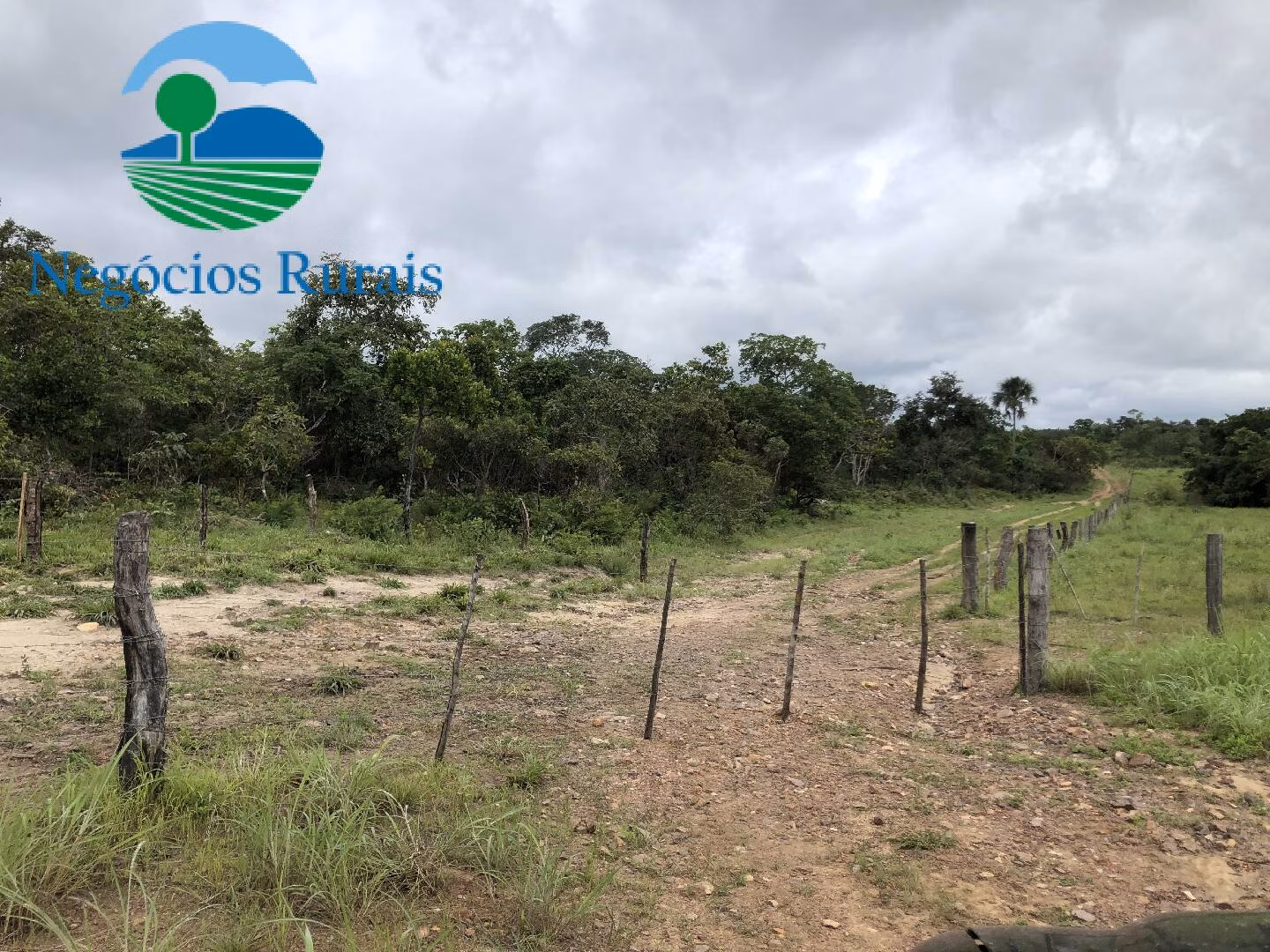 Fazenda de 261 ha em Alto Horizonte, GO