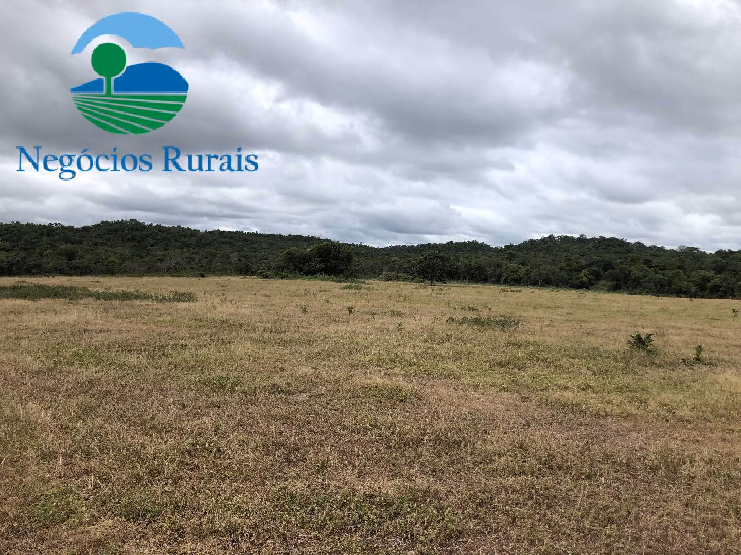 Fazenda de 261 ha em Alto Horizonte, GO
