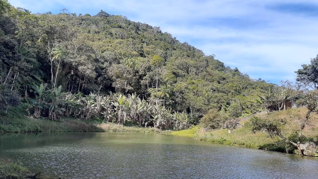 Small farm of 90 acres in Natividade da Serra, SP, Brazil