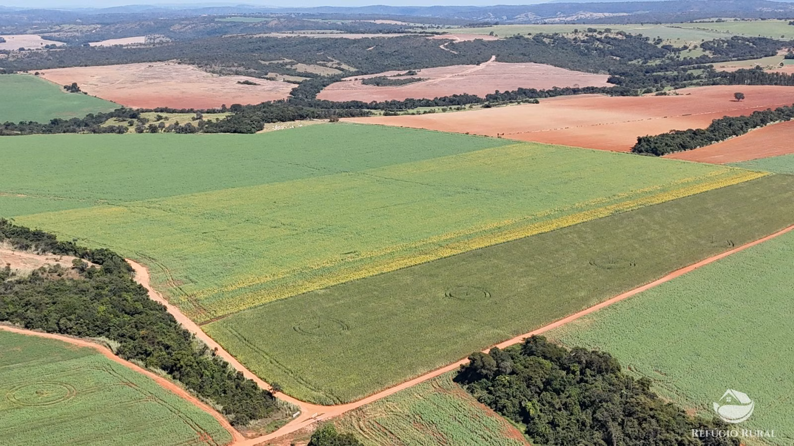 Fazenda de 795 ha em Ipameri, GO