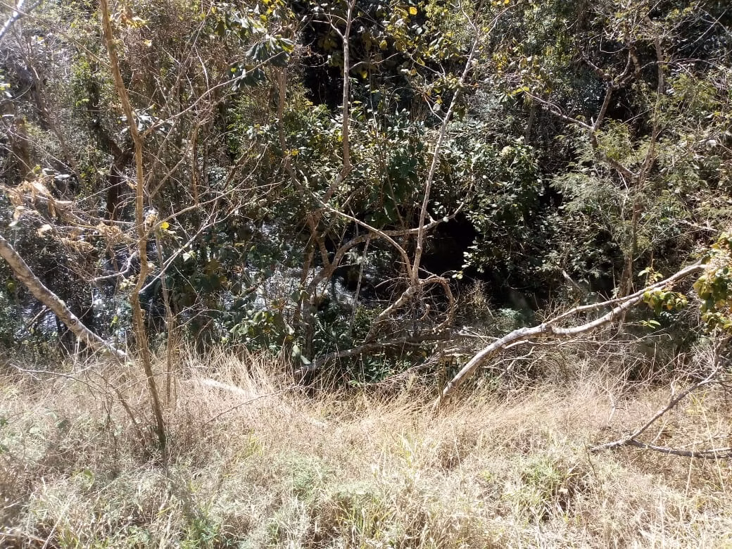 Small farm of 18 acres in Monteiro Lobato, SP, Brazil