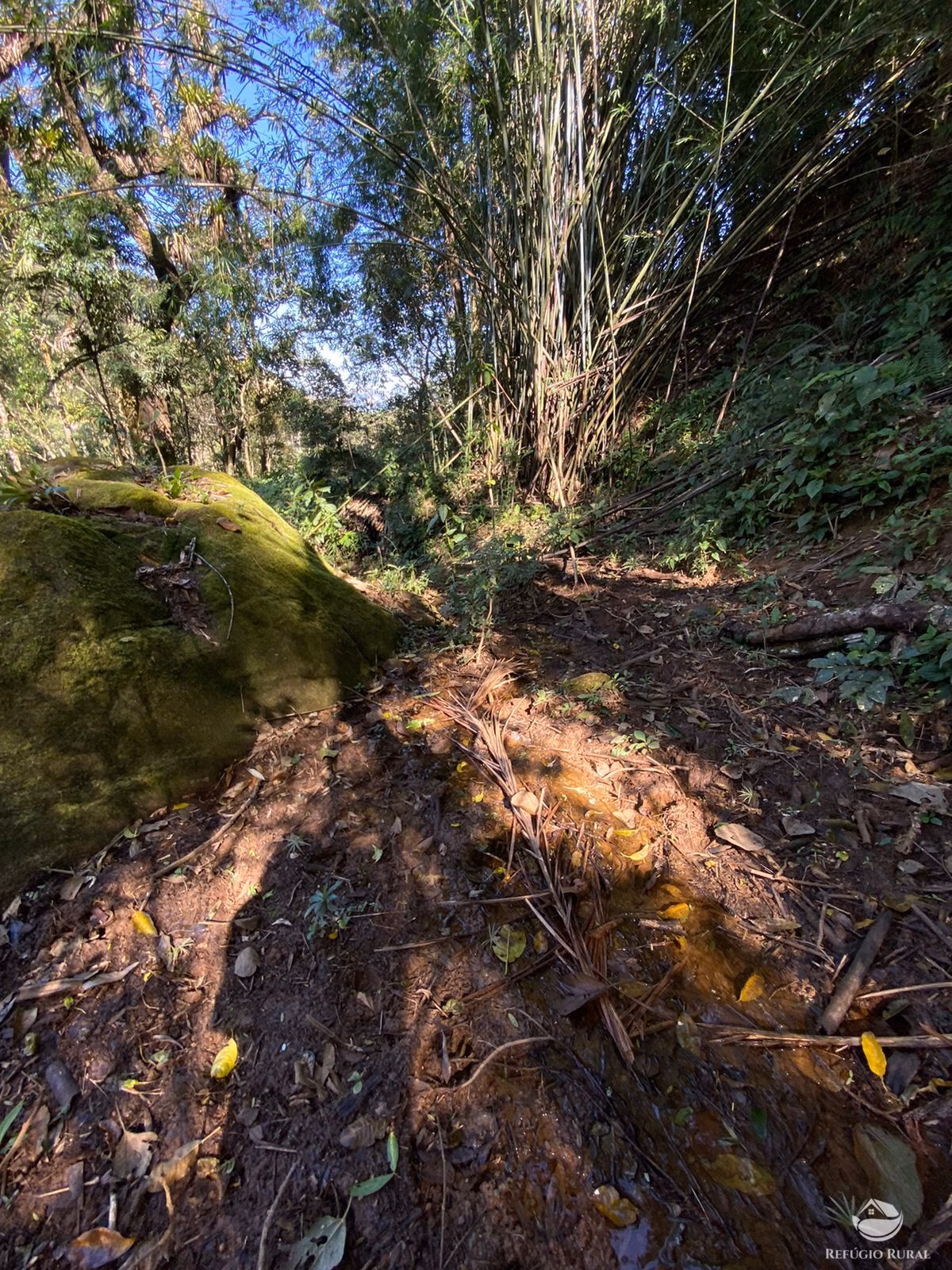 Sítio de 2 ha em São José dos Campos, SP