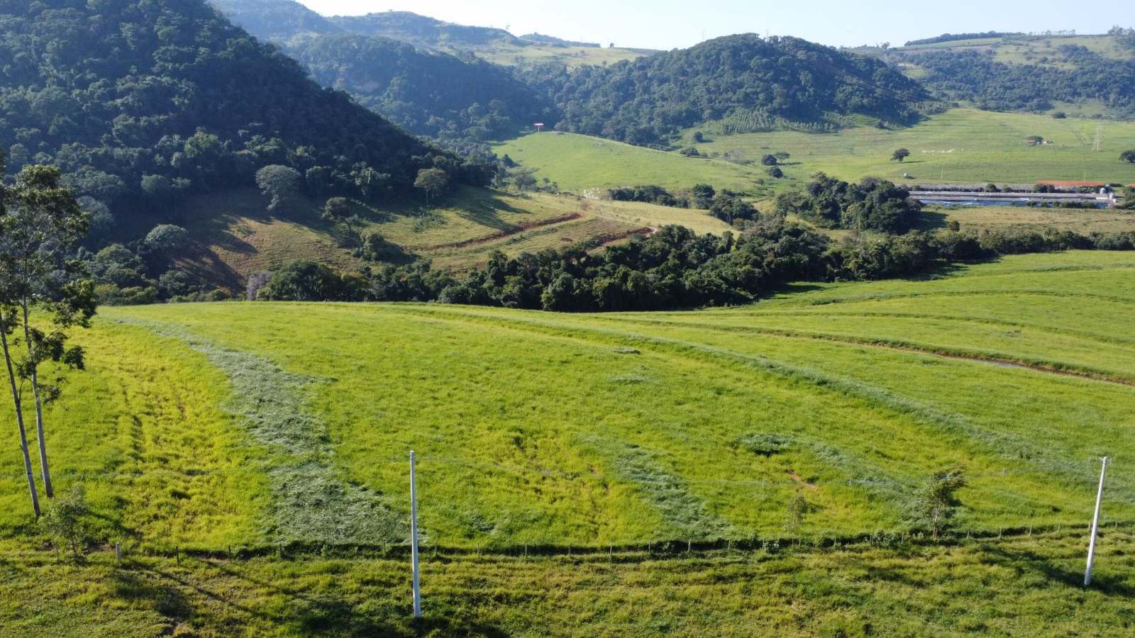 Farm of 524 acres in Brotas, SP, Brazil