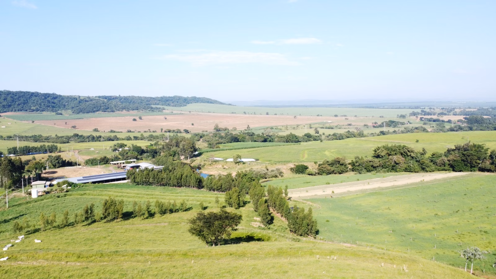 Farm of 524 acres in Brotas, SP, Brazil