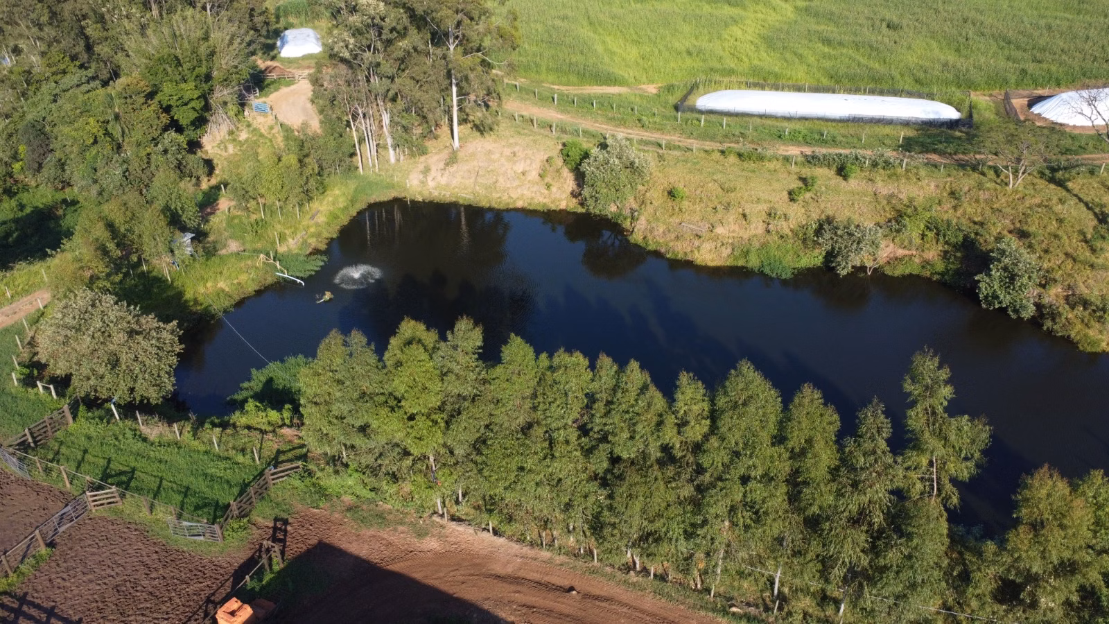 Farm of 524 acres in Brotas, SP, Brazil