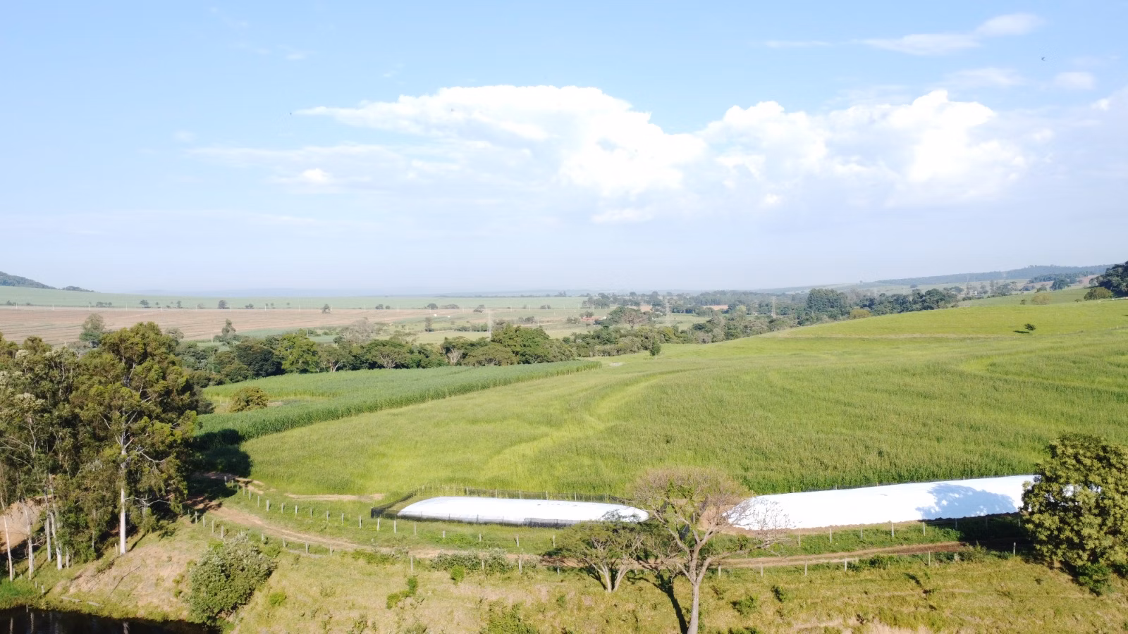 Farm of 524 acres in Brotas, SP, Brazil