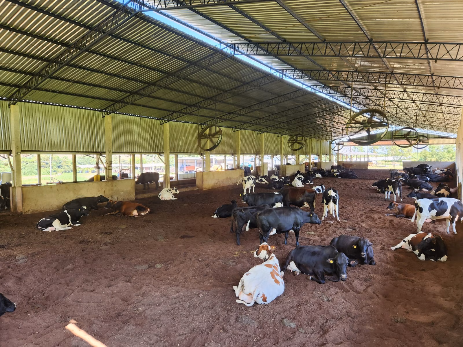 Farm of 524 acres in Brotas, SP, Brazil