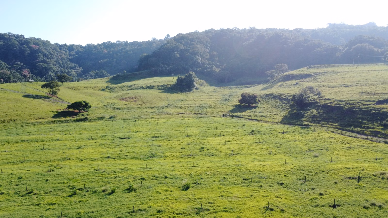Farm of 524 acres in Brotas, SP, Brazil