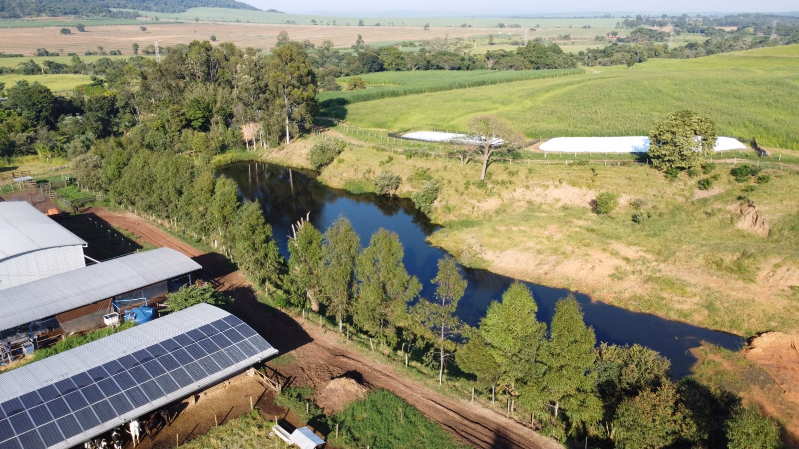 Farm of 524 acres in Brotas, SP, Brazil