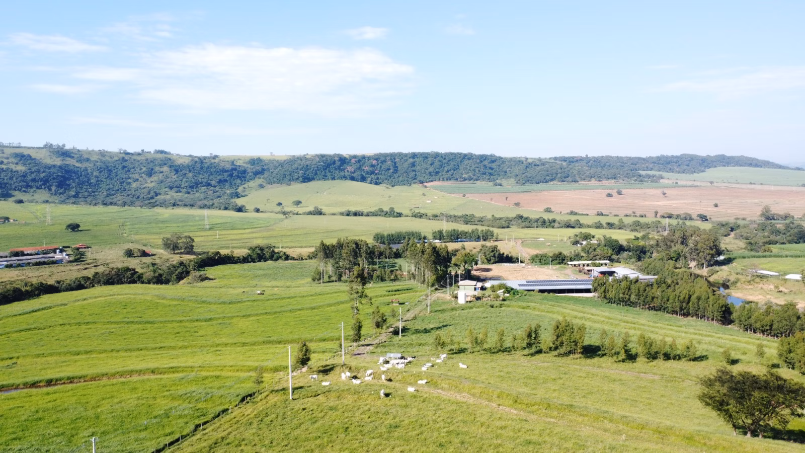 Farm of 524 acres in Brotas, SP, Brazil