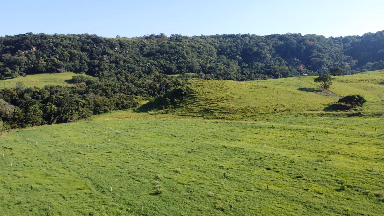 Farm of 524 acres in Brotas, SP, Brazil