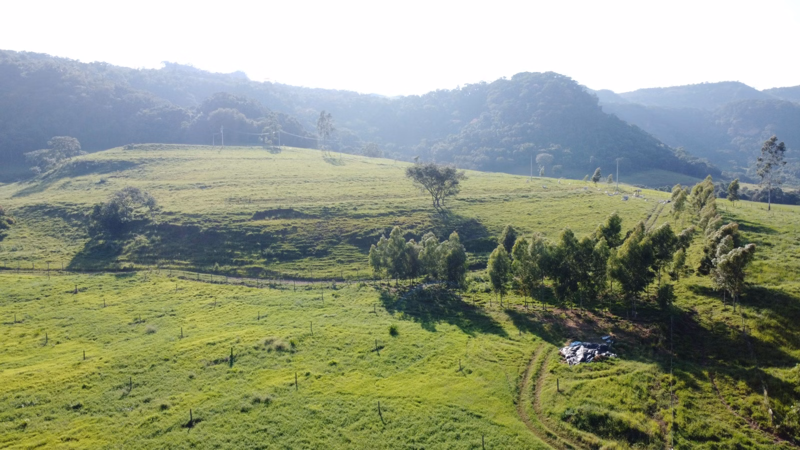 Farm of 524 acres in Brotas, SP, Brazil