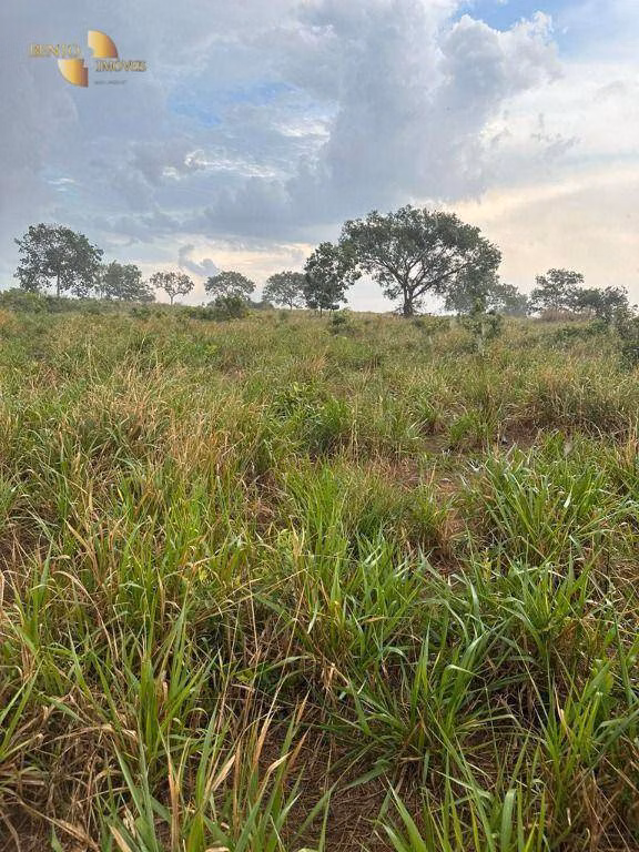 Farm of 890 acres in Poxoréu, MT, Brazil