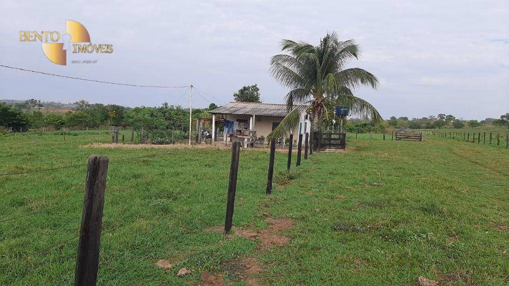 Fazenda de 207 ha em Juscimeira, MT