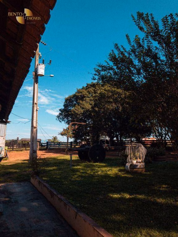 Fazenda de 207 ha em Juscimeira, MT