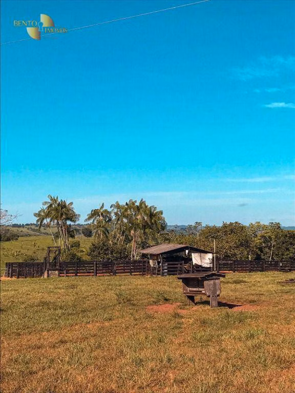 Fazenda de 207 ha em Juscimeira, MT