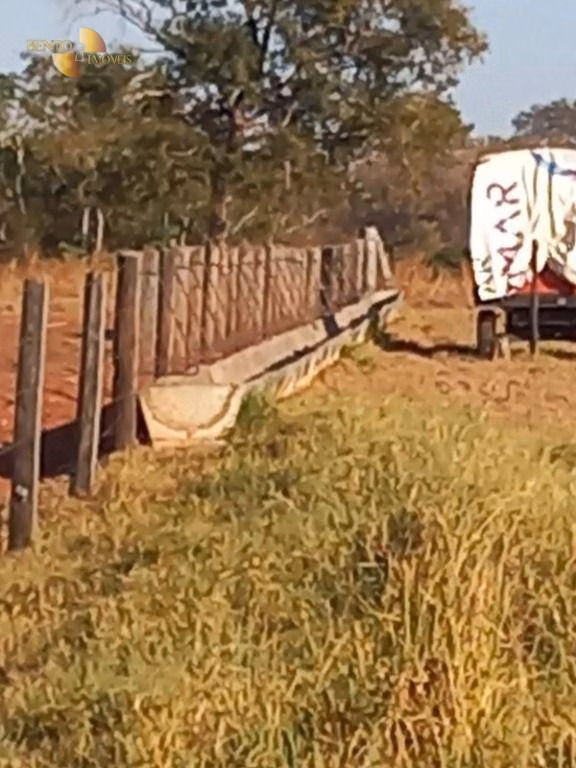 Fazenda de 207 ha em Juscimeira, MT