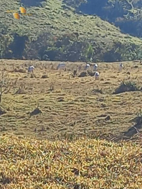 Fazenda de 207 ha em Juscimeira, MT