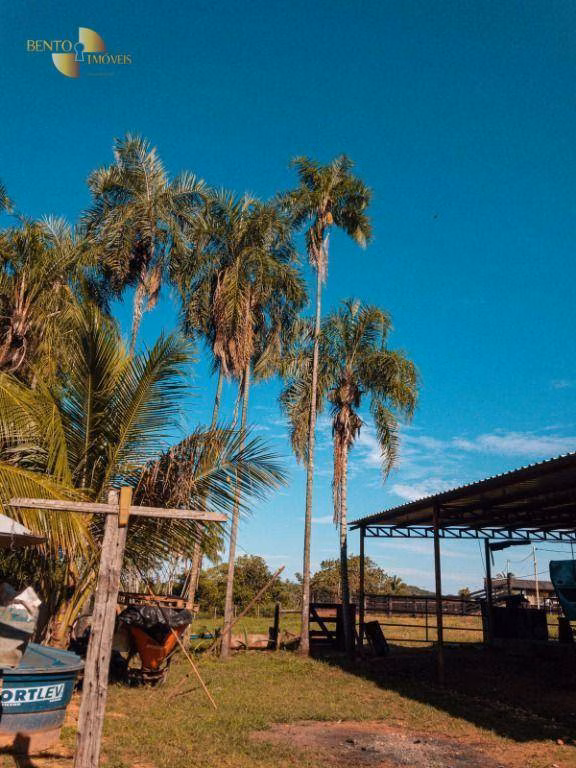 Fazenda de 207 ha em Juscimeira, MT