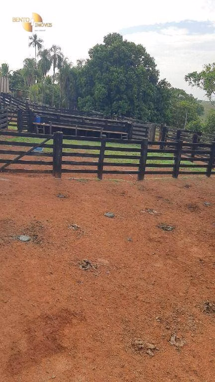 Fazenda de 207 ha em Juscimeira, MT