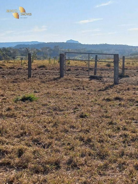 Fazenda de 207 ha em Juscimeira, MT