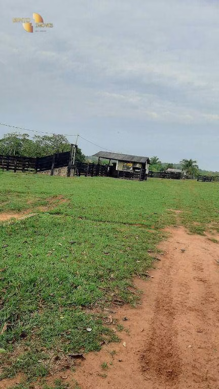 Fazenda de 207 ha em Juscimeira, MT