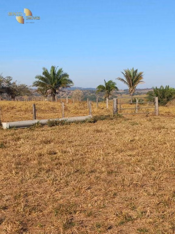 Fazenda de 207 ha em Juscimeira, MT
