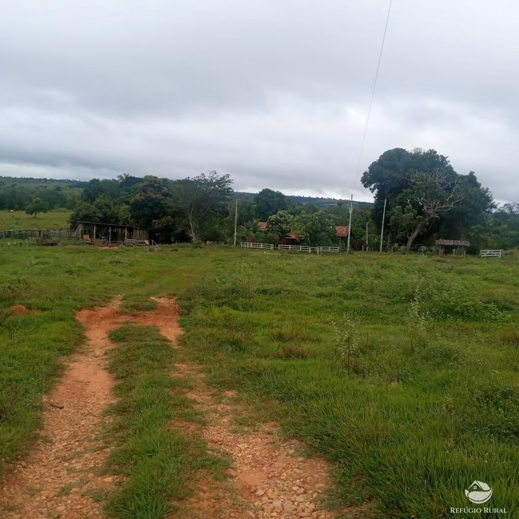 Fazenda de 2.000 ha em Tesouro, MT