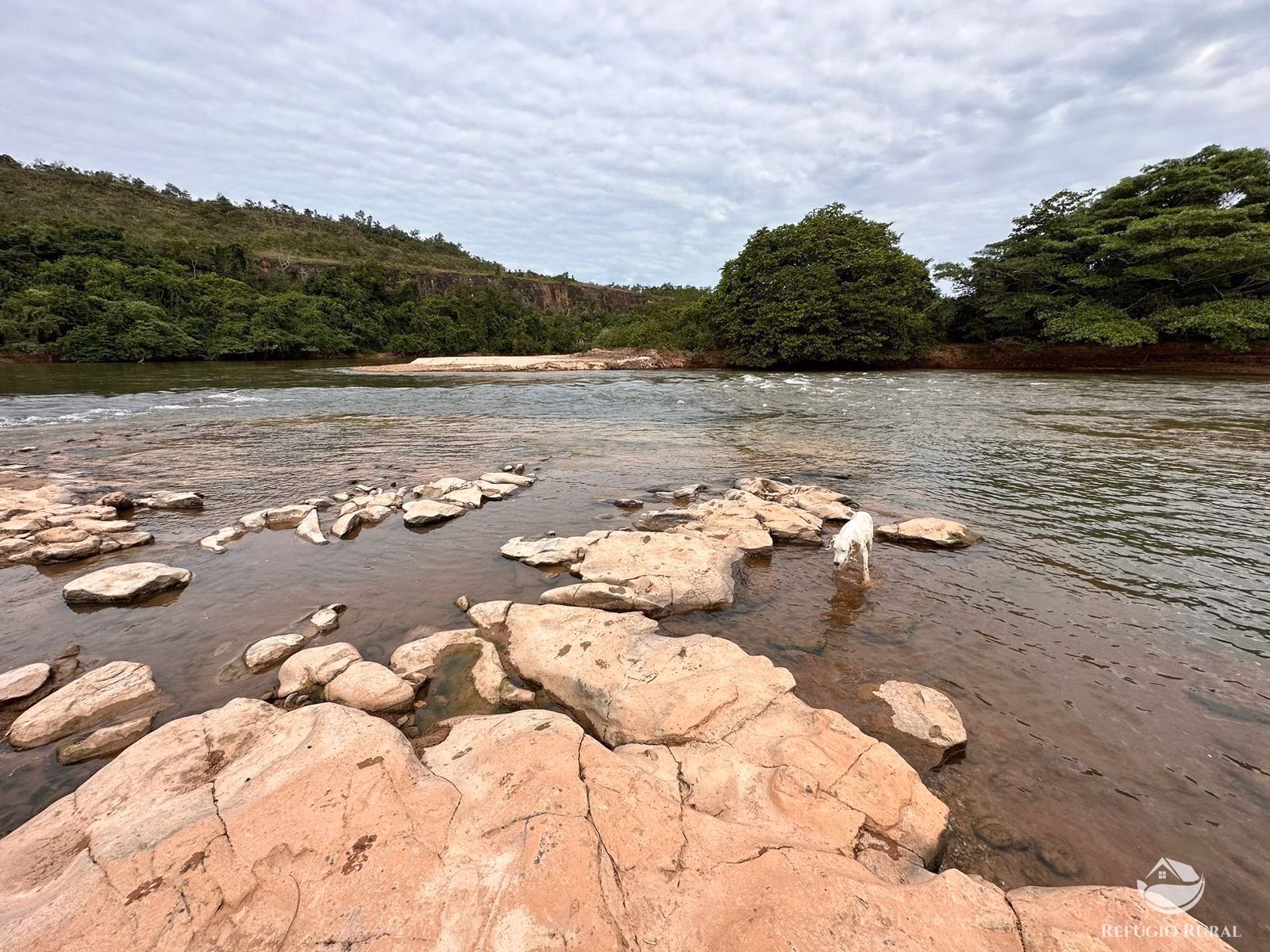 Fazenda de 2.000 ha em Tesouro, MT