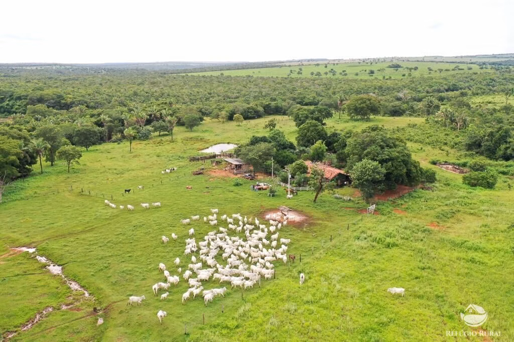 Fazenda de 2.000 ha em Tesouro, MT