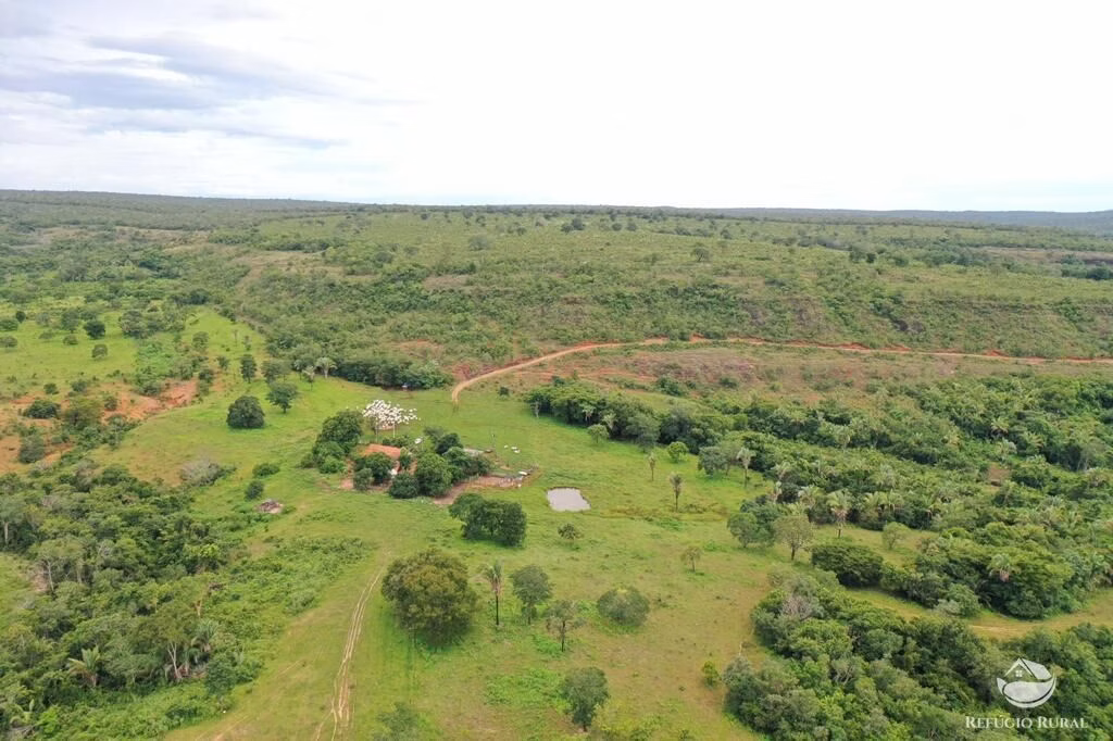 Fazenda de 2.000 ha em Tesouro, MT