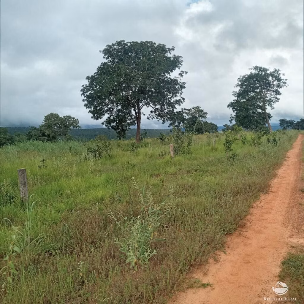 Fazenda de 2.000 ha em Tesouro, MT