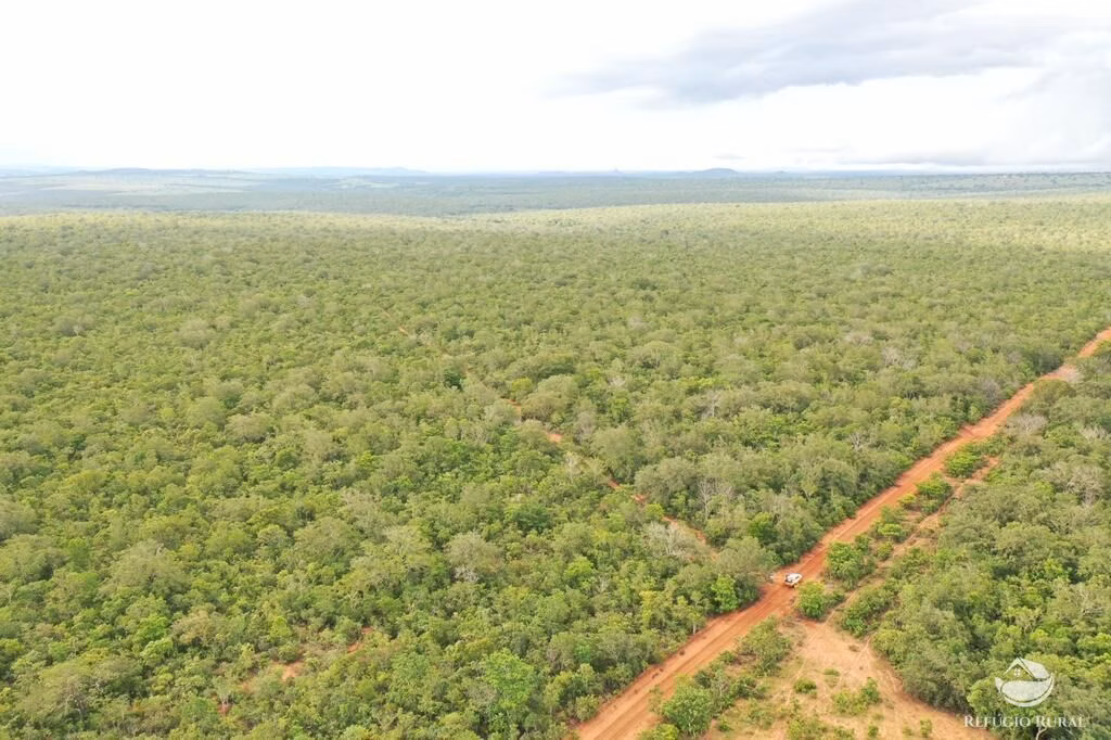 Fazenda de 2.000 ha em Tesouro, MT