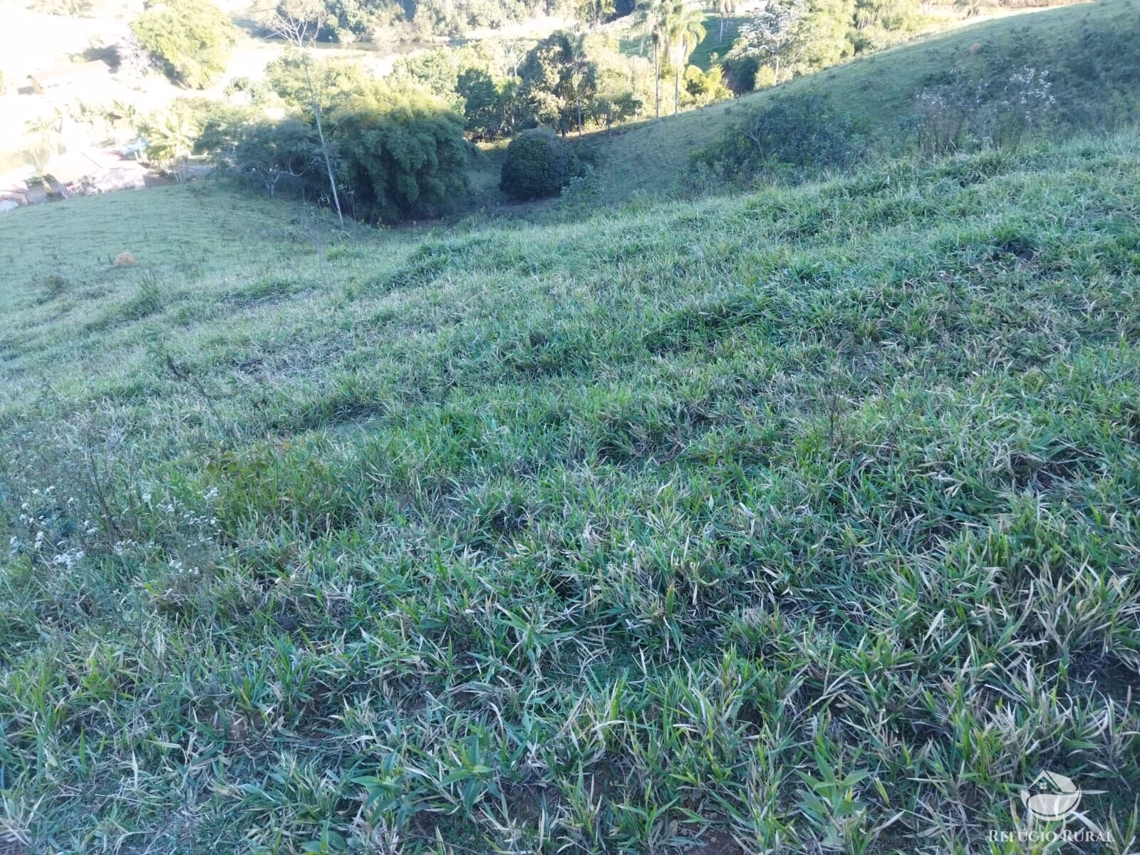 Terreno de 2 ha em São José dos Campos, SP