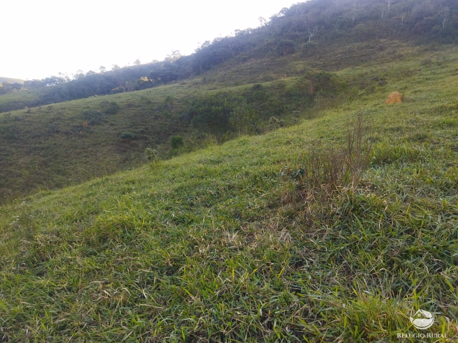 Terreno de 2 ha em São José dos Campos, SP