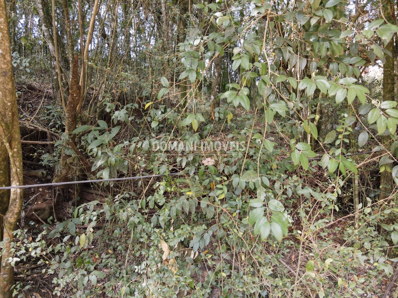 Terreno de 1,040 m² em Campos do Jordão, SP
