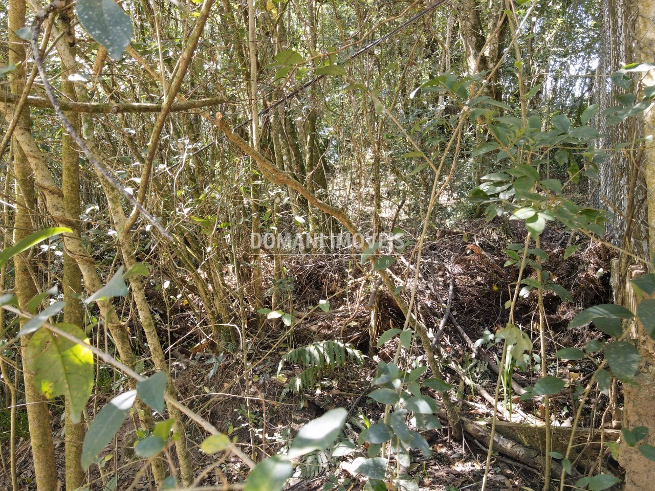 Plot of 1,040 m² in Campos do Jordão, SP, Brazil