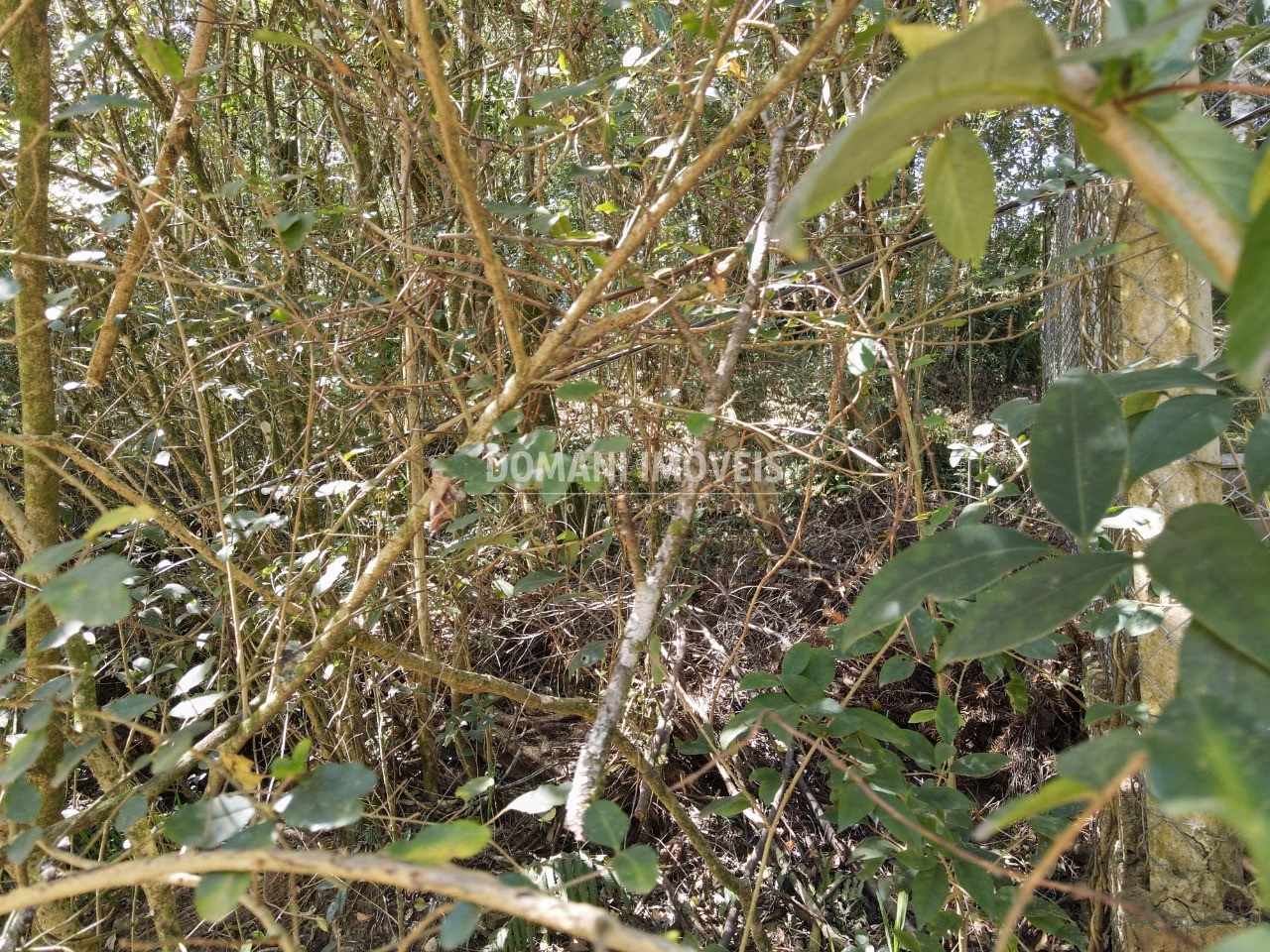 Plot of 1,040 m² in Campos do Jordão, SP, Brazil