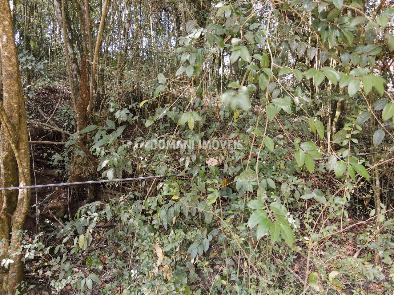 Plot of 1,040 m² in Campos do Jordão, SP, Brazil