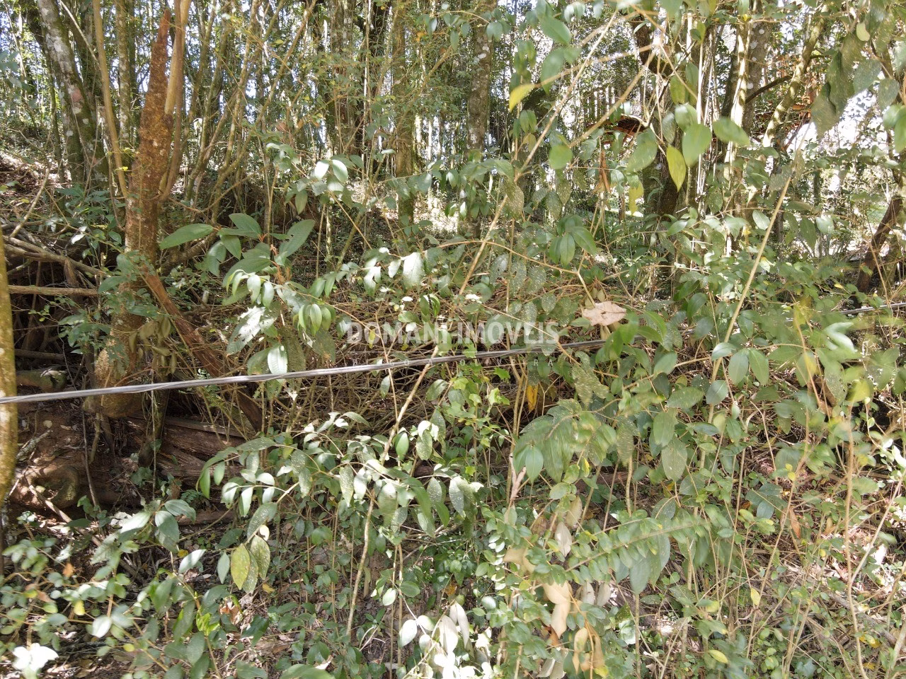 Plot of 1,040 m² in Campos do Jordão, SP, Brazil