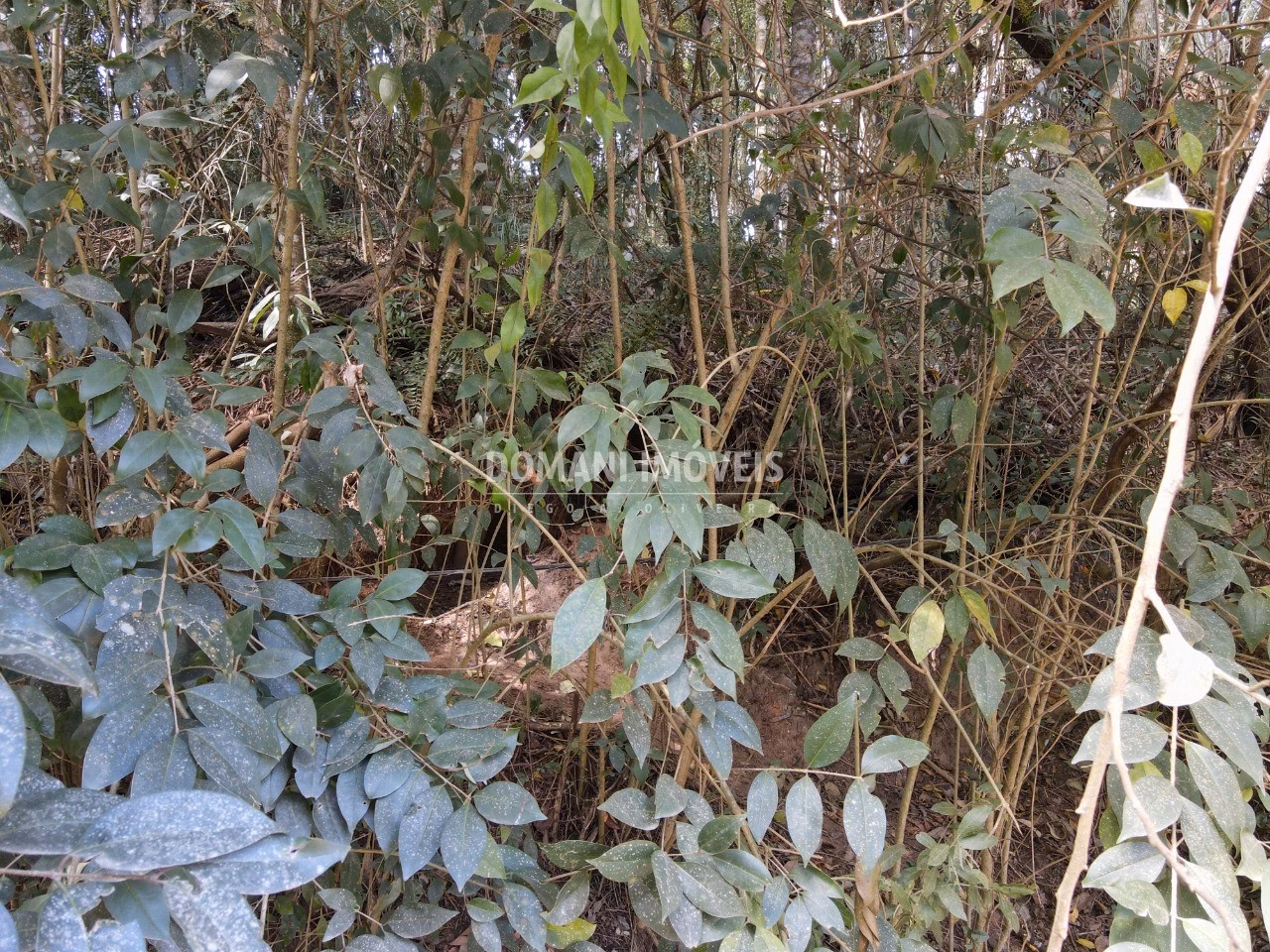 Terreno de 1,040 m² em Campos do Jordão, SP